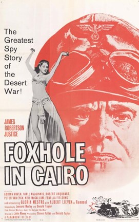 Framed Foxhole in Cairo Print