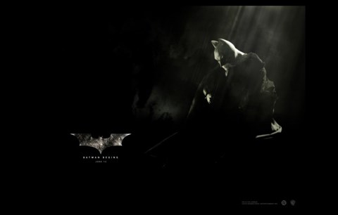Framed Batman Begins Batman in Costume Print