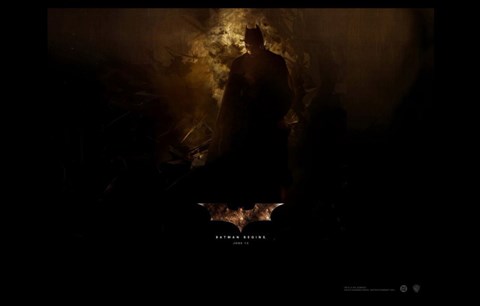 Framed Batman Begins Bats in Cave Print