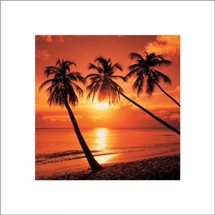 Framed Tropical Sunset Print