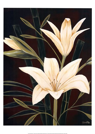 Framed Botanical Elegance I Print