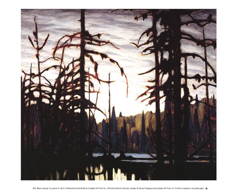 Framed Beaver Swamp Print
