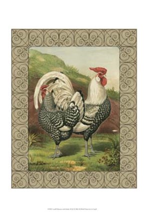 Framed Cassell&#39;s Roosters with Border III Print