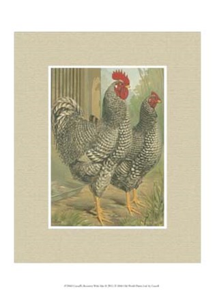 Framed Cassell&#39;s Roosters with Mat II Print