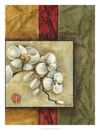 Framed Asian Orchids II Print
