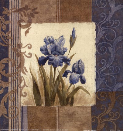 Framed Blue Iris Scroll Print