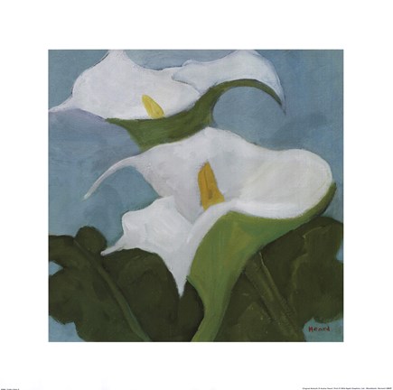 Framed Calla Lillies 5 Print