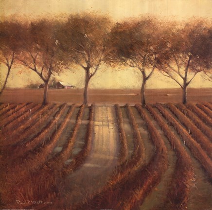 Framed Vintage Sunlit Vineyard Print