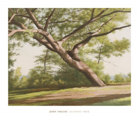 Framed Leaning Tree, 2003 Print