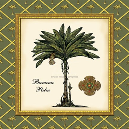 Framed Banana Palm (Green) Print
