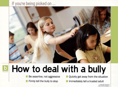 Framed How To Deal With A Bully Print
