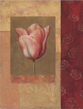 Framed Tulipe Rosee Print