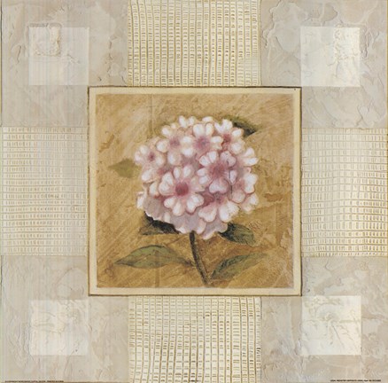 Framed Pink White Flower Print