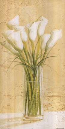 Framed White Cala Lilies Print