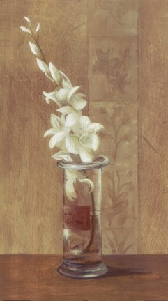 Framed White Flower In Vase Print