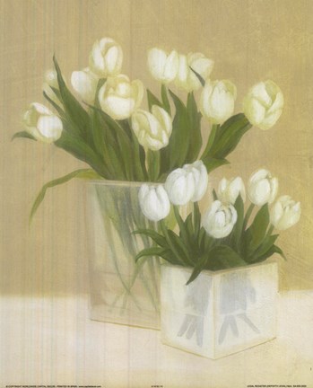 Framed White Tulips In Square Vase Print