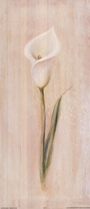 Framed White Cala Lily Print