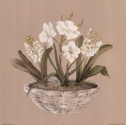 Framed White Flowers In White Wicker Basket Print