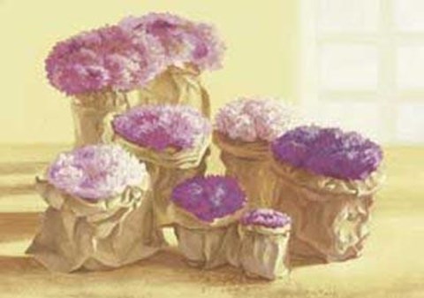 Framed Purple Pink Flowers In Bags Print