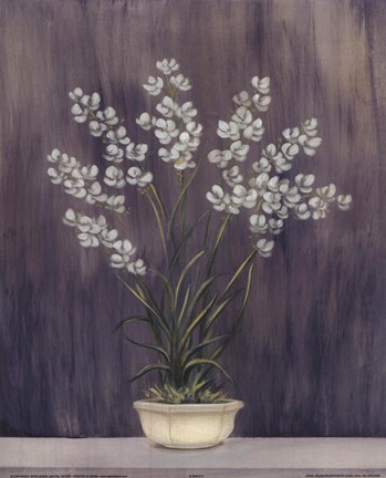Framed White Flowers In Pot Print