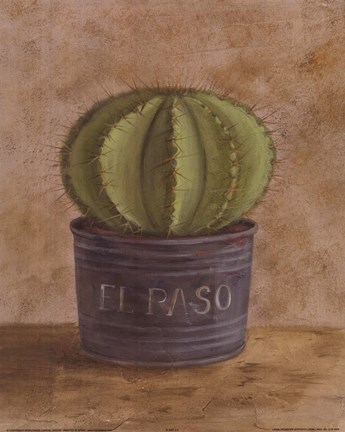 Framed El Paso Cactus Print