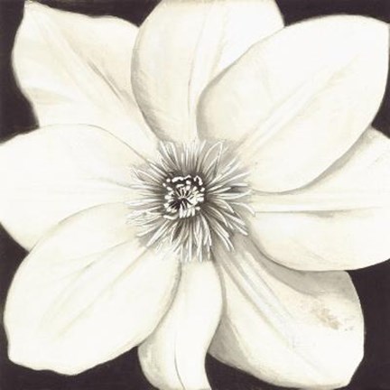 Framed White Flower (Black Background) Print