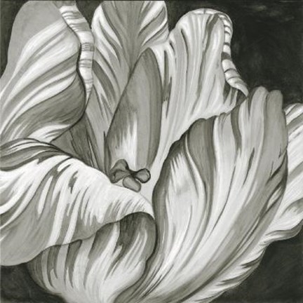 Framed Black White Flower Print