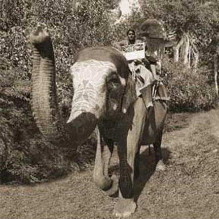 Framed Man Riding Elephant Print