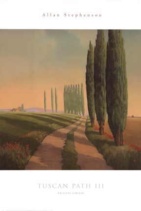 Framed Tuscan Path III Print