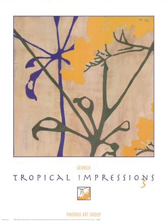 Framed Tropical Impressions 3 Print