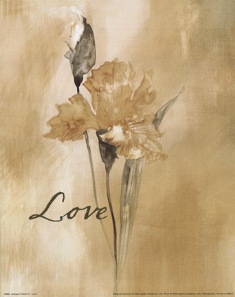 Framed Antique Floral III - Love Print