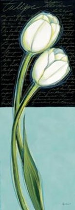 Framed White Tulip Print