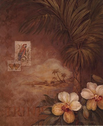 Framed West Indies Sunset II - Mini Print
