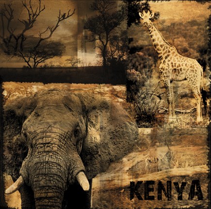 Framed Kenya Print