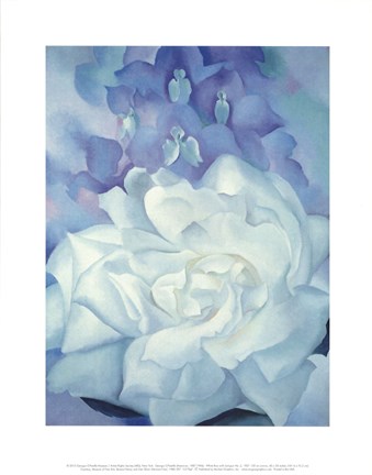 Framed White Rose with Larkspur No. 2, 1927 Print