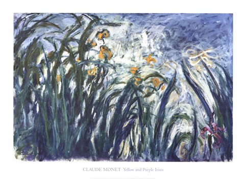Framed Yellow and Purple Irises, 1924-25 Print