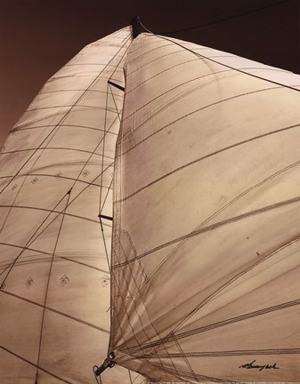 Framed Windward Sail III Print