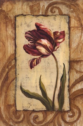Framed Classic Tulip II Print