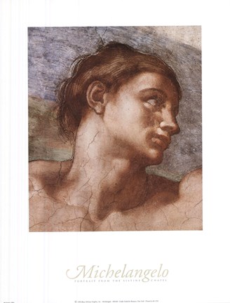 Framed Sistine Chapel - Adam Print