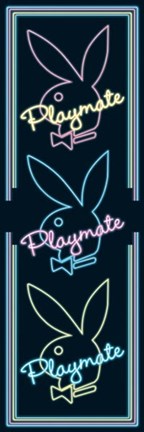 Framed Playboy - Playmate Triple Print