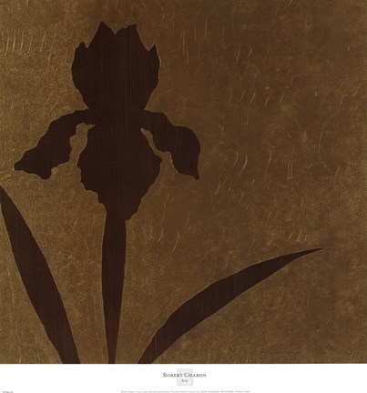 Framed Iris (Metallic) Print