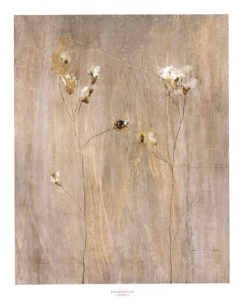 Framed Vanilla Bloom II Print
