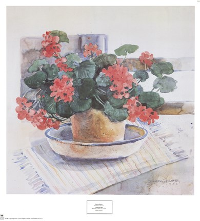 Framed Geraniums, 1986 Print