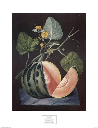 Framed Polinac Melon Print