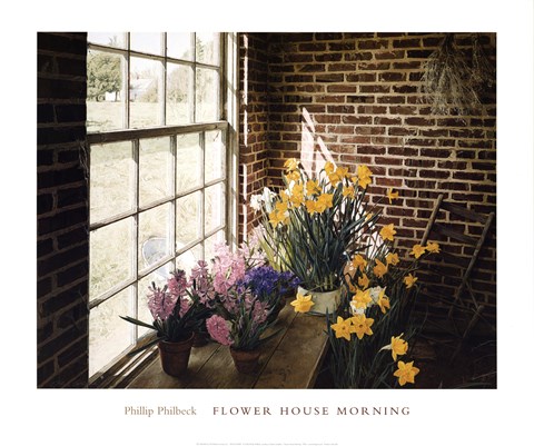 Framed Flower House Morning Print