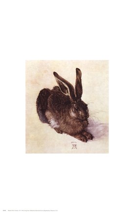 Framed Young Hare Print
