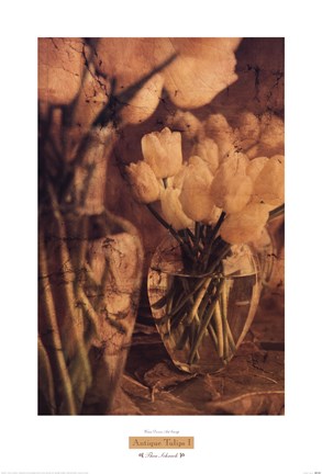 Framed Antique Tulips I Print