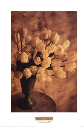 Framed Antique Tulips II Print