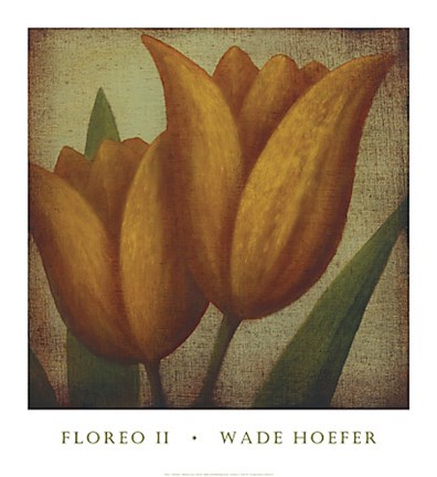 Framed Floreo II Print