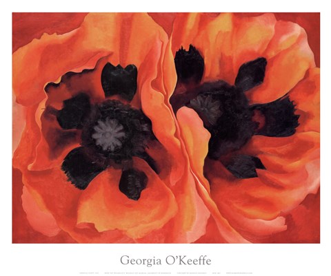 Framed Oriental Poppies, 1928 Print